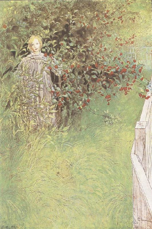 Carl Larsson A Fairy oil painting image